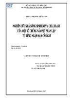 Nghiên cứu khả năng sinh enzym cellulase của một số chủng nấm sợi phân lập từ rừng ngập mặn cần giờ  
