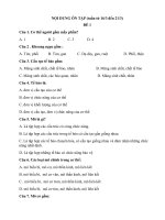 Đề ôn tập sinh học 8 (từ 16-3 đến 21-3)