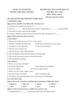 Tải Đề thi học kỳ 1 môn tiếng Anh lớp 11 trường THPT Đoàn Thượng, Hải Dương năm học 2015 - 2016 - Đề kiểm tra học kỳ 1 môn tiếng Anh lớp 11 có file nghe và đáp án