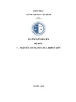 Ứng dụng của thuyết Erik Erikson trong việc chăm sóc và giáo dục trẻ để giúp các em tránh được các nguy cơ có hành vi vi phạm pháp luật khi bước vào tuổi chưa thành niên hoặc khi đã trưởng thành