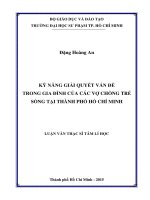 Kỹ năng giải quyết vấn đề trong gia đình của các vợ chồng trẻ sống tại thành phố hồ chí minh  
