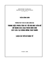 (Luận văn thạc sĩ) phương pháp toán và kinh lượng học trong phân tích và tối ưu hóa vấn đề sử dụng các loại phân bón cho cây lúa tại đồng tháp mười 
