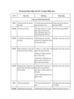 Tải Mẫu kế hoạch thực hiện chủ đề: Trường Mầm non - Kế hoạch thực hiện chủ đề: Trường Mầm non