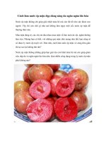 Tải Cách làm nước ép mận đẹp dáng sáng da, ngăn ngừa lão hóa - Hướng dẫn cách làm nước ép mận cực ngon