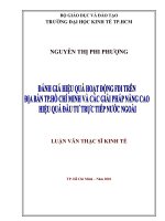 (Luận văn thạc sĩ) đánh giá hiệu quả hoạt động FDI trên địa bàn TP hồ chí minh và các giải pháp nâng cao hiệu quả đầu tư trực tiếp nước ngoài 