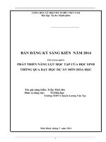Sáng kiến kinh nghiệm, SKKN - PHÁT TRIỂN NĂNG LỰC HỌC TẬP CỦA HỌC SINH THÔNG QUA DẠY HỌC DỰ ÁN MÔN HÓA HỌC