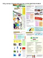 Tải Tiếng Anh lớp 6 Chương trình mới Unit 11 OUR GREENER WORLD - Bài tập tiếng Anh lớp 6 Thí điểm Bài 11