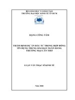 (Luận văn thạc sĩ) thẩm định dự án đầu tư trong hợp đồng tín dụng trung dài hạn ngân hàng thương mại cần thơ 