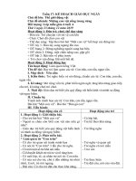 tuần 17 Những con vật sống trong rừng