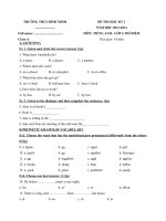 Tải Đề thi học kỳ 1 môn tiếng Anh lớp 6 Thí điểm trường THCS Bình Minh, Hà Nội năm học 2013 - 2014 có file nghe - Đề thi cuối học kỳ 1 môn tiếng Anh lớp 6 Thí điểm có file nghe