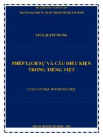 Phép lịch sự và câu điều kiện trong tiếng việt  