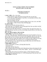 Giáo án HĐTN lớp 1 tuần 1  4 bộ kết nối tri thức với cuộc sống 