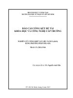 Nghiên cứu tổng hợp vật liệu nano lafeo3 bằng phương pháp sol gel  báo cáo tổng kết đề tài khoa học và công nghệ cấp trường 