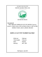 Thực hiện quy trình sản xuất ớt chuông (capsicum annum l ) trong nhà lưới tại trang trại 37  uri yacobi, moshav paran, arava, israel 2018 2019 