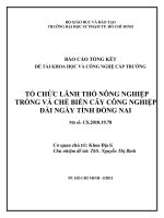 Tổ chức lãnh thổ nông nghiệp trồng và chế biến cây công nghiệp dài ngày tỉnh đồng nai báo cáo tổng kết đề tài khoa học và công nghệ cấp trường 