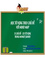 15 chủ đề từ vựng trong monkey 