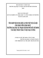 Tích hợp nội dung rèn luyện trí tuệ xã hội cho sinh viên năm nhất trường đại học sư phạm thành phố hồ chí minh vào học phần tâm lý học đại cương  báo cáo tổng kết đề tài nghiên cứu khoa học và công nghệ cấp trường 