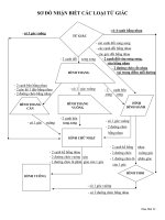 SƠ đồ NHẬN BIẾT các LOẠI tứ GIÁC 2 