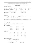 Bai tap on tet toan tieng viet lop 2 