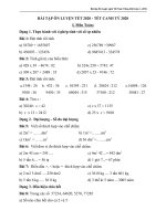 Bai tap on tet toan tieng viet lop 4m 