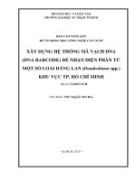 Xây dựng hệ thống mã vạch dna (dna barcode) để nhận diện phân tử một số loài đăng lan (dendrobium spp ) khu vực tp  hồ chí minh  báo cáo tổng kết đề tài khoa học và công nghệ cấp cơ sở 