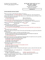 Tải Đề thi thử THPT Quốc gia năm 2017 môn Giáo dục công dân trường THPT Trần Hưng Đạo, TP. Hồ Chí Minh (Lần 1) - Đề thi thử trắc nghiệm tổ hợp Khoa học Xã hội môn GDCD có đáp án