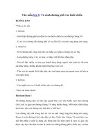 Tải Tả cảnh đường phố vào buổi chiều - Những bài văn mẫu tả cảnh lớp 5