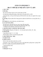 Tải Giáo án Sinh học 9 bài Mối quan hệ giữa gen và ARN - Giáo án điện tử Sinh học 9