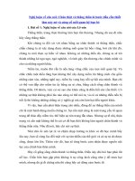 Tải Nghị luận về câu nói: Chân thật và thẳng thắn là bước đầu cần thiết làm nảy nở và củng cố mối quan hệ bạn bè - Văn mẫu nghị luận xã hội lớp 10