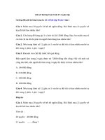 Tải Giải vở bài tập Toán 5 bài 17: Luyện tập Ôn tập và bổ sung về giải Toán - Giải vở bài tập Toán 5 tập 1