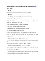 Tải Nghị luận xã hội về hiện trạng quảng cáo sai sự thật - Dàn ý + bài văn mẫu lớp 11