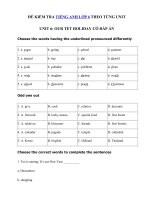 Tải Đề kiểm tra tiếng Anh 6 Unit 6 Our Tet holiday - Bài tập Unit 6 lớp 6 Our Tet holiday có đáp án