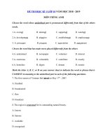 Tải Đề thi học kì 1 lớp 10 môn Tiếng Anh năm học 2018 - 2019 trường THPT Hồng Thái - Đề kiểm tra học kì 1 môn Tiếng Anh lớp 10 chương trình mới