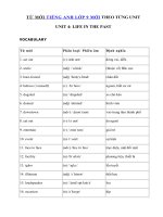 Tải Từ vựng Unit 4 lớp 9 Life in the past - Tiếng Anh 9 Unit 4 Life in the past| Từ vựng Unit 4 SGK tiếng Anh 9 mới