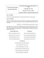 Tải Đề thi chọn học sinh giỏi THPT cấp tỉnh môn Ngữ văn năm 2018 - 2019 Sở GD&ĐT Khánh Hòa vòng 1 - Đề thi HSG môn Ngữ văn