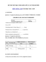 Tải Đề thi thử học sinh giỏi lớp 12 cấp thành phố môn Tiếng Anh năm học 2018 - 2019 - Ôn thi HSG môn Tiếng Anh lớp 12 chương trình mới có đáp án