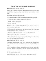 Tải Soạn văn 10 bài: Luyện tập viết đoạn văn thuyết minh - Soạn bài lớp 10