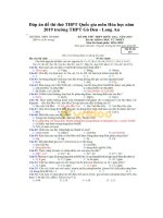 Tải Đáp án đề thi thử THPT Quốc gia môn Hóa học năm 2019 trường THPT Gò Đen - Long An - Đề minh họa Hóa học 2019