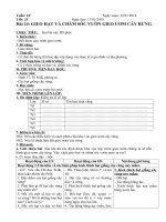 Tải Giáo án Công nghệ 7 bài 24: Gieo hạt và chăm sóc vườn gieo ươm cây rừng - Giáo án điện tử Công nghệ 7