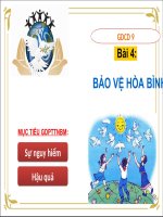 BÀI 4 BẢO VỆ HÒA BÌNH