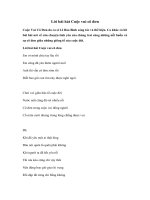 Tải Lời bài hát Cuộc vui cô đơn - Lê bảo Bình - Lyrics - Hợp âm Cuộc vui cô đơn