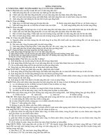 Tải Chuyên đề Sóng ánh sáng: Phân loại các dạng trắc nghiệm từ dễ đến khó - Luyện thi Đại học môn Lý có đáp án