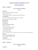 Tải Giáo án Tiếng Anh lớp 2 Tuần 16 sách Macmillan - Giáo án môn tiếng Anh lớp 2 theo tuần