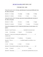 Tải Đề ôn thi vào lớp 10 môn Tiếng Anh năm học 2019 - 2020 số 1 - Đề thi môn Tiếng Anh tuyển sinh lớp 10