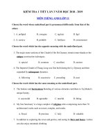 Tải Kiểm tra 1 tiết số 3 môn Tiếng Anh 11 năm học 2018 - 2019 - Đề kiểm tra Tiếng Anh lớp 11 chương trình mới