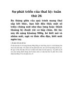 Tải Sự phát triển của thai kỳ: tuần thứ 26 - Tìm hiểu sự phát triển của bé ở tuần thai thứ hai mươi sáu