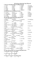 Tải Đề ôn thi học sinh giỏi lớp 5 môn Tiếng Anh - Ôn thi học kì 2 môn tiếng Anh lớp 5