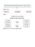 Tải Phiếu bài tập cuối tuần Tiếng Việt 1 nâng cao Tuần 14 Phiếu 1 - Đề kiểm tra Tiếng Việt cuối tuần lớp 1 Sách Kết nối tri thức với cuộc sống