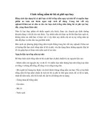 Tải Cách trồng nấm từ bã cà phê cực hay - Hướng dẫn tự trồng nấm bằng bã cà phê siêu đơn giản