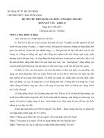 Tải Đề thi thử THPT Quốc gia năm 2017 môn Ngữ văn trường THPT Trần Hưng Đạo, thành phố Hồ Chí Minh (Lần 4) - Đề thi thử THPT Quốc gia năm 2017 môn Ngữ văn có đáp án